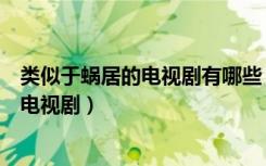 类似于蜗居的电视剧有哪些（除了蜗居还有什么关于房子的电视剧）