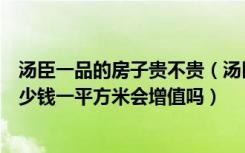 汤臣一品的房子贵不贵（汤臣一品的房子最便宜的要达到多少钱一平方米会增值吗）