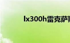 lx300h雷克萨斯报价表（lx3）