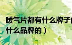 暖气片都有什么牌子的（暖气片商城主要是卖什么品牌的）