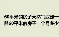 60平米的房子天然气取暖一冬天能花多少钱（家用燃气取暖器60平米的房子一个月多少钱）