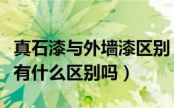 真石漆与外墙漆区别（外墙仿石材漆和真石漆有什么区别吗）