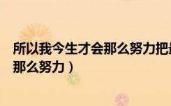 所以我今生才会那么努力把最好的爱给你（所以我今生才会那么努力）