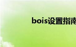 bois设置指南（bois设置）