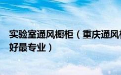 实验室通风橱柜（重庆通风柜实验台实验室家具哪家做的最好最专业）