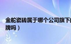 金舵瓷砖属于哪个公司旗下的品牌（金舵陶瓷是瓷砖十大品牌吗）