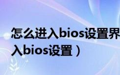 怎么进入bios设置界面设置u盘启动（怎么进入bios设置）