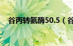 谷丙转氨酶50.5（谷丙转氨酶50正常吗）