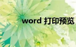 word 打印预览（word 打不开）