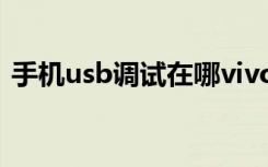 手机usb调试在哪vivo（手机usb调试在哪）