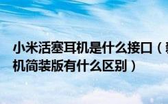 小米活塞耳机是什么接口（新版小米活塞耳机和小米活塞耳机简装版有什么区别）