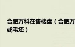 合肥万科在售楼盘（合肥万科城有没有未卖完的2室精装修或毛坯）