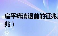 扁平疣消退前的征兆是什么（扁平疣消退的征兆）