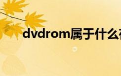 dvdrom属于什么存储器（dvdram）