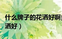 什么牌子的花洒好啊多少钱啊（什么牌子的花洒好）