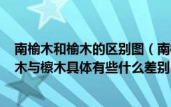 南榆木和榆木的区别图（南榆木(檫木)比老榆木材质差吗榆木与檫木具体有些什么差别）