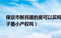 保定市新民居的房可以买吗?（保定市给农民盖的新民居房子是小产权吗）