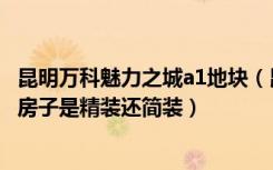 昆明万科魅力之城a1地块（昆明万科魅力之城一期a3号地块房子是精装还简装）