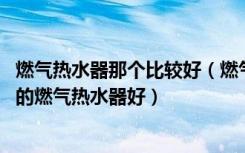 燃气热水器那个比较好（燃气热水器到底好不好用,什么牌子的燃气热水器好）