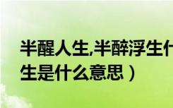 半醒人生,半醉浮生什么意思（半醉半醒半浮生是什么意思）