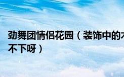 劲舞团情侣花园（装饰中的木桩 怎么才能用啊拿起来怎么放不下呀）