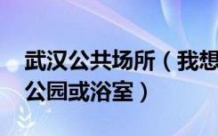 武汉公共场所（我想知道武汉哪有同志场所、公园或浴室）