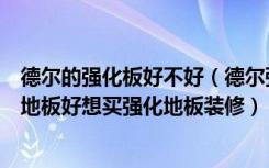 德尔的强化板好不好（德尔强化地板好还是大卫地板的强化地板好想买强化地板装修）