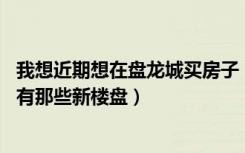 我想近期想在盘龙城买房子（问一下现在那里那个楼盘好点 有那些新楼盘）