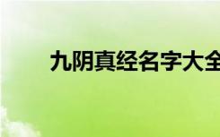 九阴真经名字大全（九阴真经名字）