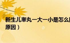 新生儿睾丸一大一小是怎么回事（婴儿睾丸一大一小是什么原因）