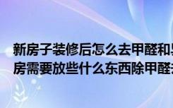 新房子装修后怎么去甲醛和异味要什么去味（刚装修完的新房需要放些什么东西除甲醛去气味）