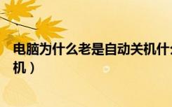 电脑为什么老是自动关机什么问题（电脑为什么老是自动关机）