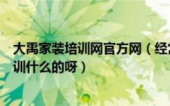 大禹家装培训网官方网（经常听到大禹家装培训网到底是培训什么的呀）