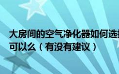 大房间的空气净化器如何选择我家比较大一般的空气净化器可以么（有没有建议）
