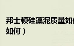 邦士顿硅藻泥质量如何（康臣美克硅藻泥质量如何）