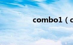 combo1（combo光驱）