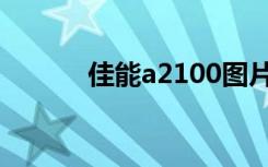 佳能a2100图片（佳能a2100）