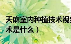 天麻室内种植技术视频播放（天麻室内种植技术是什么）