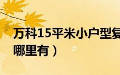 万科15平米小户型复式（万科15平米小户型哪里有）