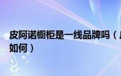 皮阿诺橱柜是一线品牌吗（皮阿诺橱柜排名皮阿诺橱柜实力如何）