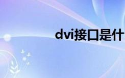 dvi接口是什么（dv品牌）