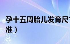 孕十五周胎儿发育尺寸（孕十五周胎儿发育标准）