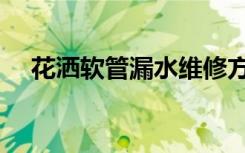 花洒软管漏水维修方法（花洒软管漏水）