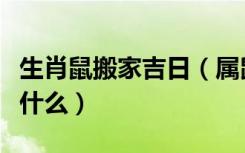 生肖鼠搬家吉日（属鼠搬家吉日查询的方法是什么）