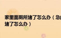 家里面厕所堵了怎么办（急问各位一个问题如果家里的厕所堵了怎么办）