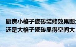 厨房小格子瓷砖装修效果图大全（厨房卫生间用小格子瓷砖还是大格子瓷砖显得空间大）