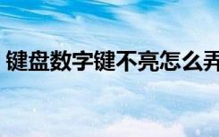 键盘数字键不亮怎么弄（键盘数字键不能用）