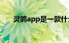 灵鸽app是一款什么软件（灵鸽app）