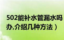 502能补水管漏水吗（502水管防水堵漏怎么办,介绍几种方法）