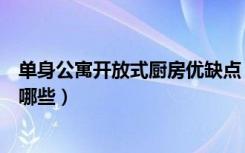 单身公寓开放式厨房优缺点（请问单身公寓厨房设计要点有哪些）